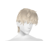 Blonde Tousle