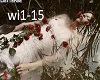 wild rose