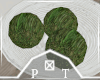 Moss Balls Decor Bowl