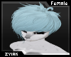 Z; Calimon Hair F V4