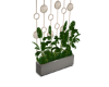mOdErN pLAnT diVidEr