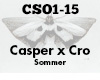 Casper Cro Sommer
