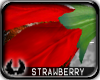 'cp Strawberry Flower