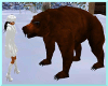 Brown Bear animated