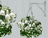 Hanging flowers white 1
