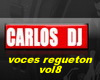 VOCES REGUETON VOL8 DJN8