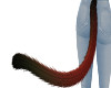 red cat tail