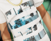 [SI] Palm Line