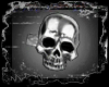 D . Skull