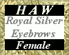 Royal Silver Eyebrows F