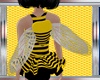 DC.. BEE WINGS KID