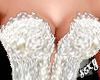 (X)bride 2017 lace