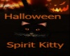 Halloween Spirit Kitty
