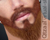◮ Ginger Beard f/mesh