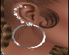 Silver LOOP Earrings