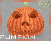 Pumpkin 1a Ⓚ