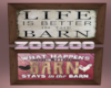 Z Life in the Barn Pic