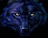 blue wolf poster