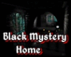Black Mystery Home