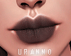 U. Under Lip II