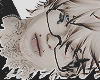 Nagi v2