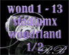 stadiumx: wondrland p1