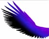 purple/blue/black Awings