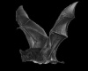 vampire bat shadow