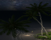 Beach at night