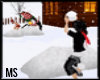 SnowBall:Fight:Animated