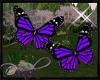 Q Spring Butterflies