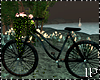 Spring Romantic Bicycle