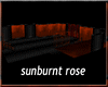 (TSH)Sunburnt Rose