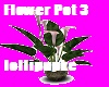 Flower Pot
