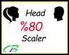 3~ Head Scale %80