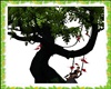 Celtic Swing Tree