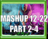MASHUP12-22