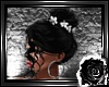 *L*Festiva Black/White