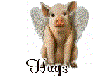 angel pig hug