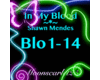 In My Blood Shawn Mendes