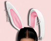 Bunny Pink Ears