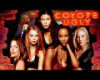 coyote ugly room