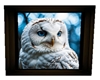 framed white owl 9