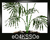 4K .:Plant:.