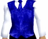 (T)Blue/White vest