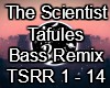 The Sxientist Bass Remix