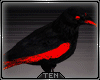 T! Neon Crow pet M/F