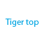 Tiger top (male)