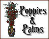 ~ Poppies & Palms