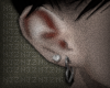 earrings ⟡